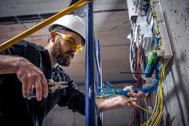 Best Electric Panel Repair  in Farmington, MO